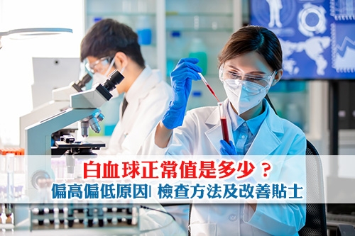 白血球正常值是多少-偏高偏低原因-檢查方法及改善貼士